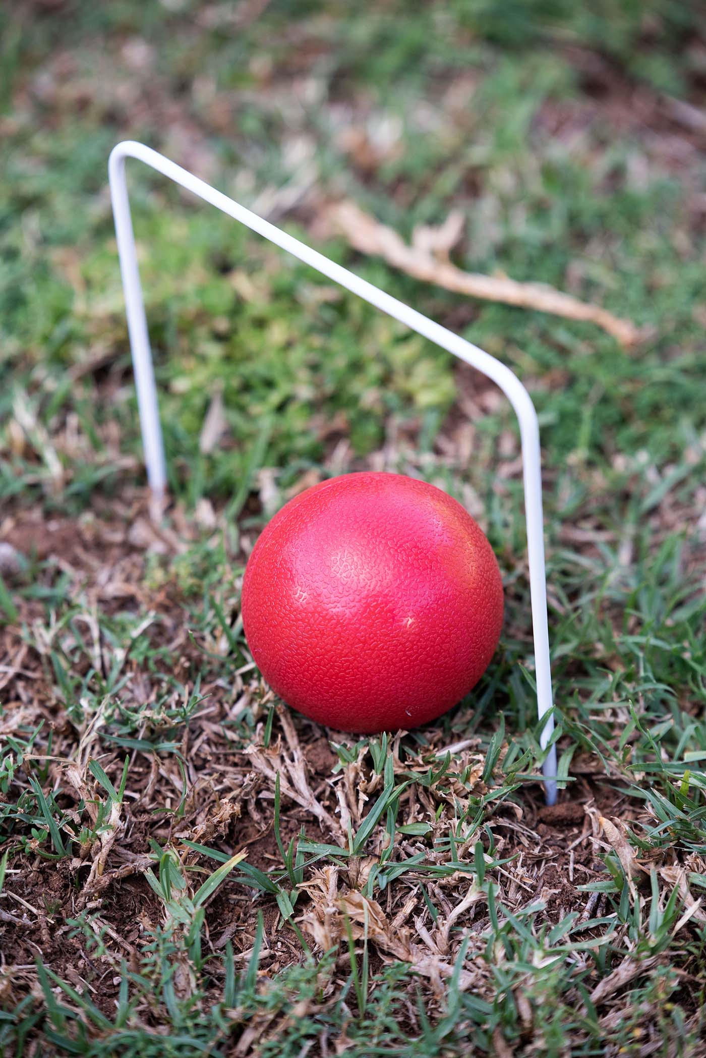 Red croquet ball